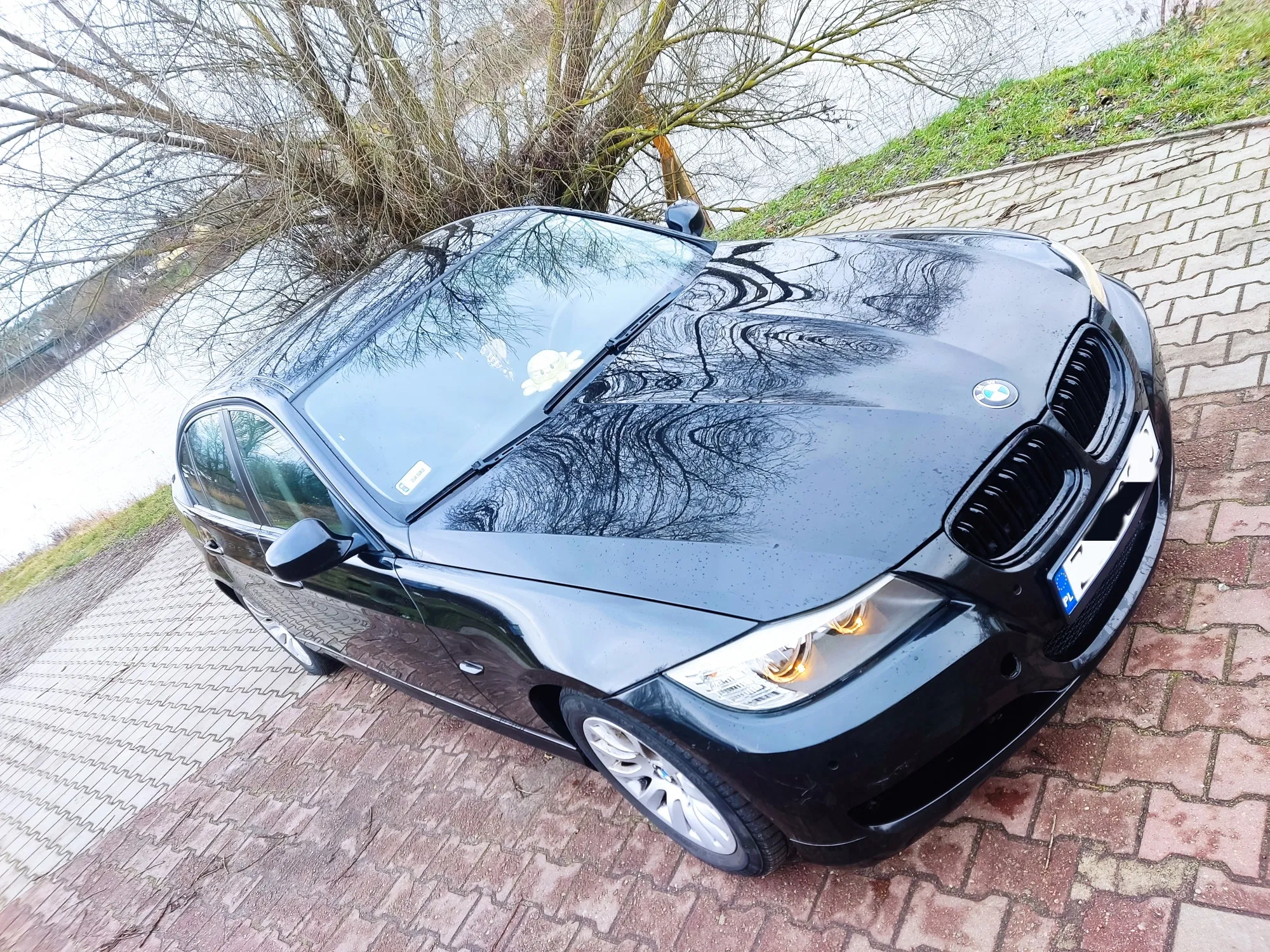 image.webp