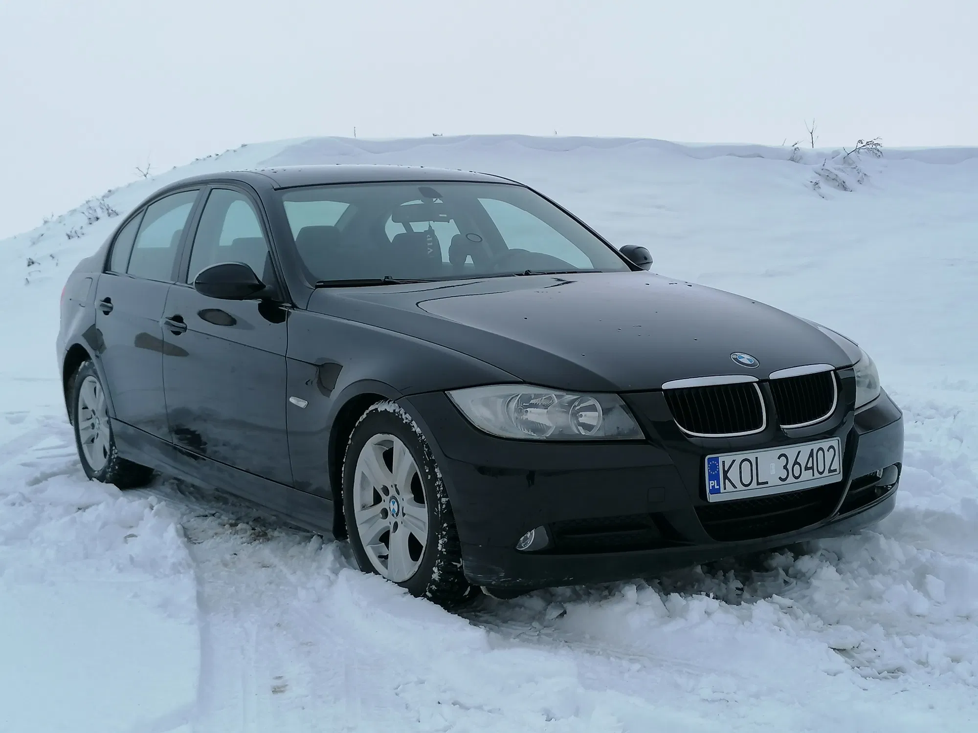 image.webp