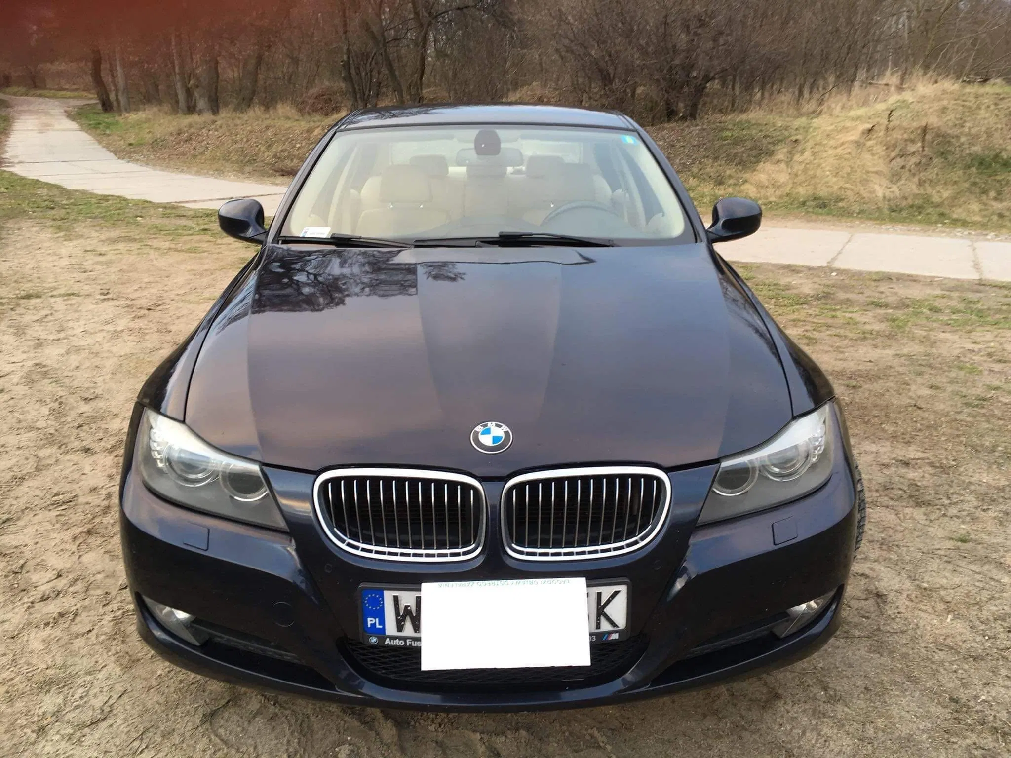 image.webp